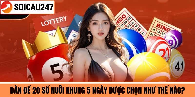Dàn Đề 20 Số Nuôi Khung 5 Ngày Được Chọn Như Thế Nào?