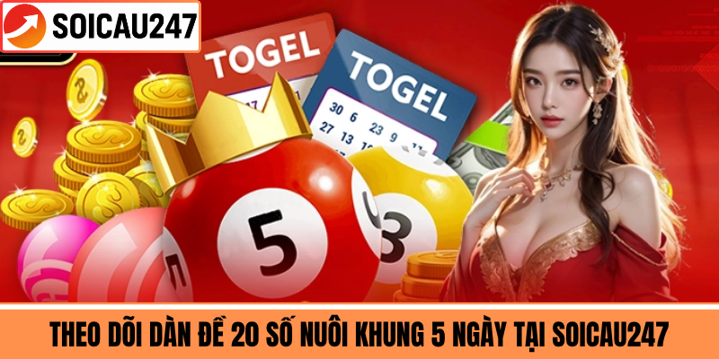 Theo Dõi Dàn Đề 20 Số Nuôi Khung 5 Ngày Tại Soicau247