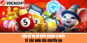 Dàn Đề 36 Số Nuôi Khung 5 Ngày Từ Góc Nhìn Của Chuyên Gia