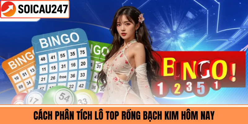 Cách Phân Tích Lô Top Rồng Bạch Kim Hôm Nay