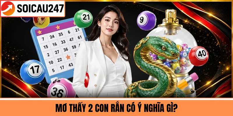 Mơ Thấy 2 Con Rắn Có Ý Nghĩa Gì?