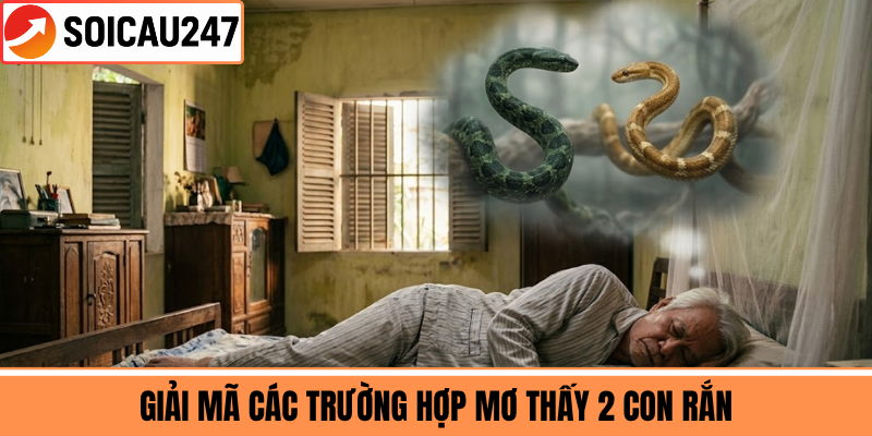 Giải Mã Các Trường Hợp Mơ Thấy 2 Con Rắn