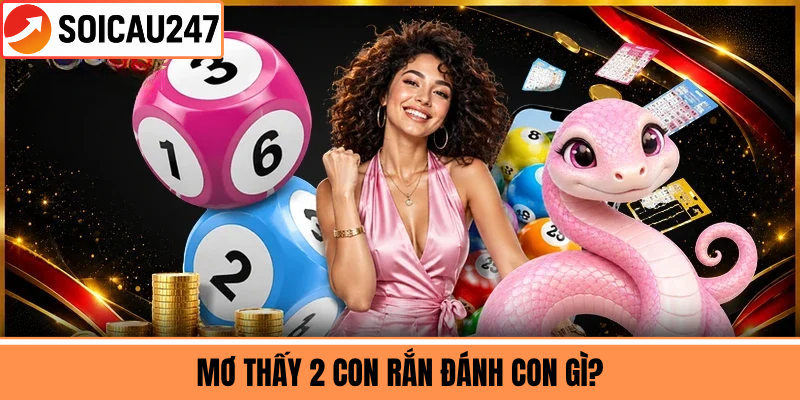 Mơ Thấy 2 Con Rắn Đánh Con Gì?