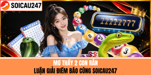 Mơ Thấy 2 Con Rắn - Luận Giải Điềm Báo Cùng SoiCau247