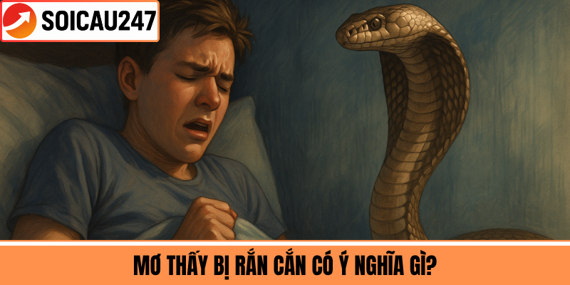 Mơ Thấy Bị Rắn Cắn Có Ý Nghĩa Gì?