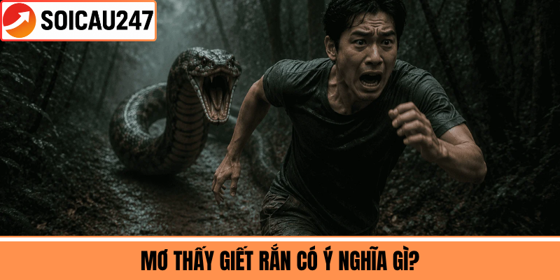 Mơ Thấy Giết Rắn Có Ý Nghĩa Gì?