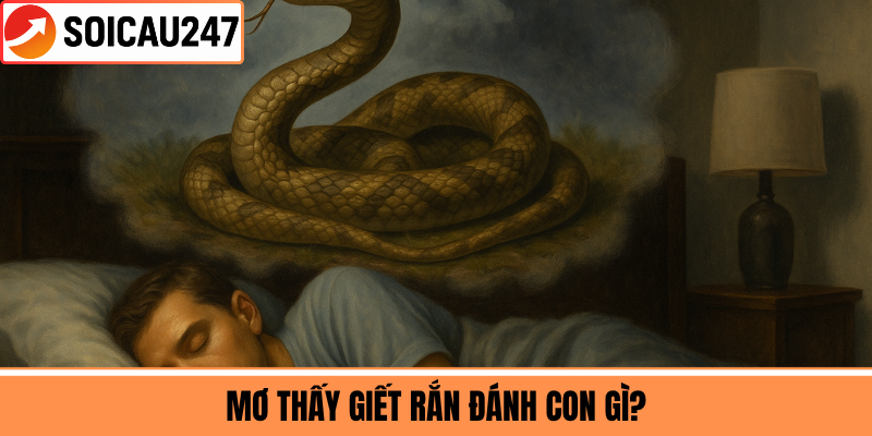 Mơ Thấy Giết Rắn Đánh Con Gì?