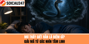 Mơ Thấy Giết Rắn Là Điềm Gì? Giải Mã Từ Góc Nhìn Tâm Linh