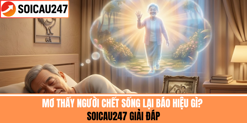 Mơ Thấy Người Chết Sống Lại Báo Gì? SoiCau247 Giải Đáp