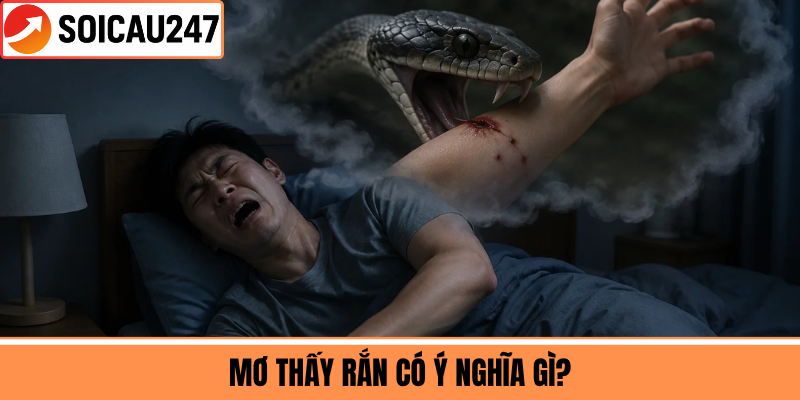Mơ Thấy Rắn Có Ý Nghĩa Gì?
