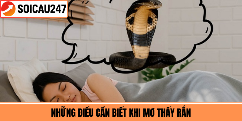 Những Điều Cần Biết Khi Mơ Thấy Rắn