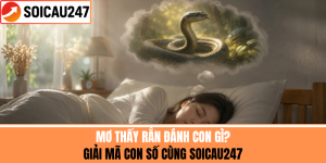 Mơ Thấy Rắn Đánh Con Gì? Giải Mã Con Số Cùng SoiCau247