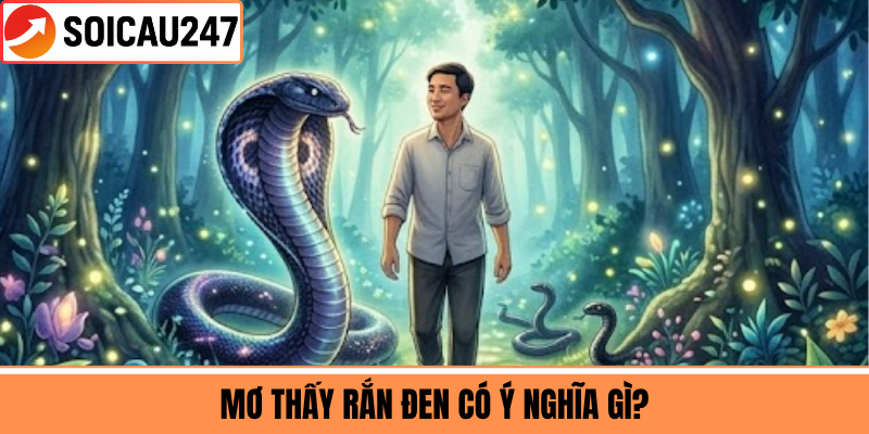Mơ Thấy Rắn Đen Có Ý Nghĩa Gì?