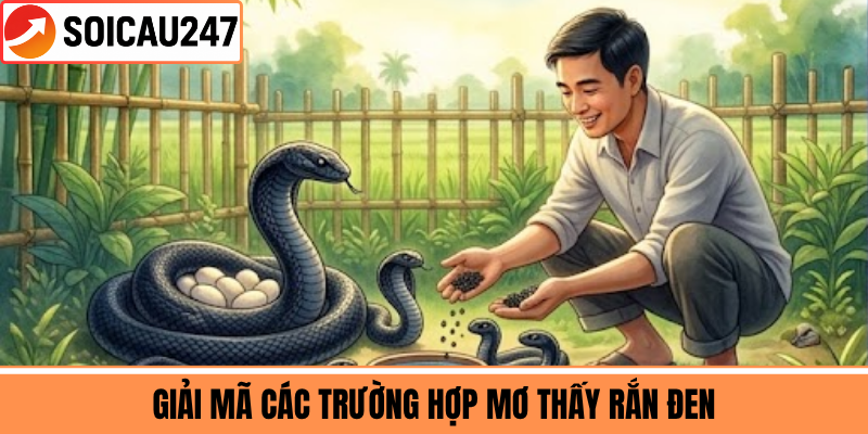 Giải Mã Các Trường Hợp Mơ Thấy Rắn Đen