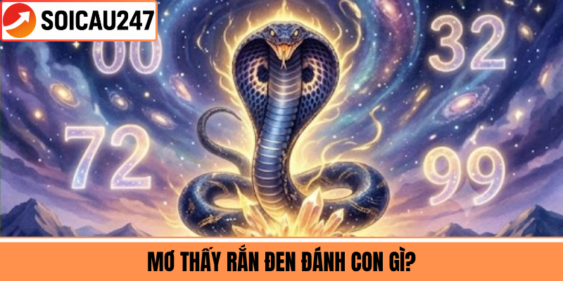 Mơ Thấy Rắn Đen Đánh Con Gì?