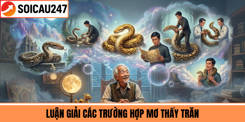 Luận Giải Các Trường Hợp Mơ Thấy Trăn 