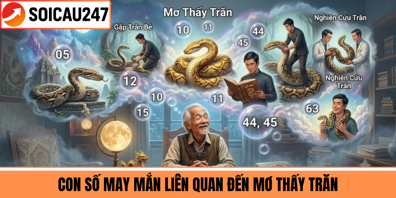 Con Số May Mắn Liên Quan Đến Mơ Thấy Trăn