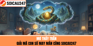 Mơ Thấy Trăn - Giải Mã Con Số May Mắn Cùng SoiCau247
