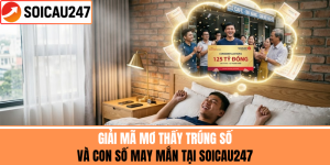 Giải Mã Mơ Thấy Trúng Số Và Con Số May Mắn Tại Soicau247