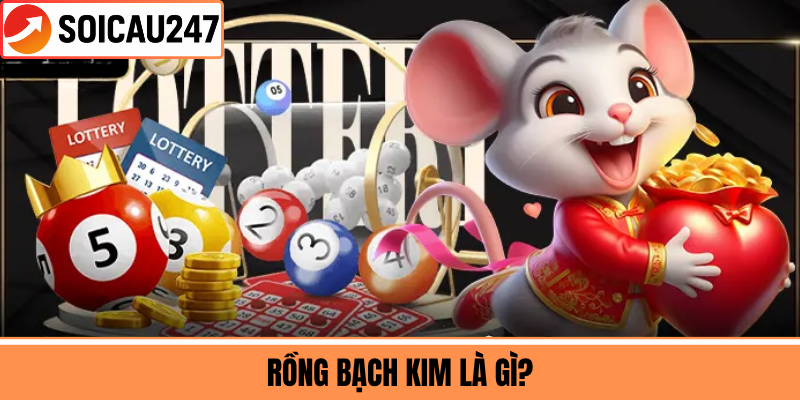 Rồng Bạch Kim Là Gì?