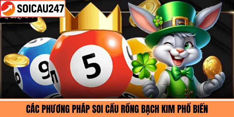 Các Phương Pháp Soi Cầu Rồng Bạch Kim Phổ Biến