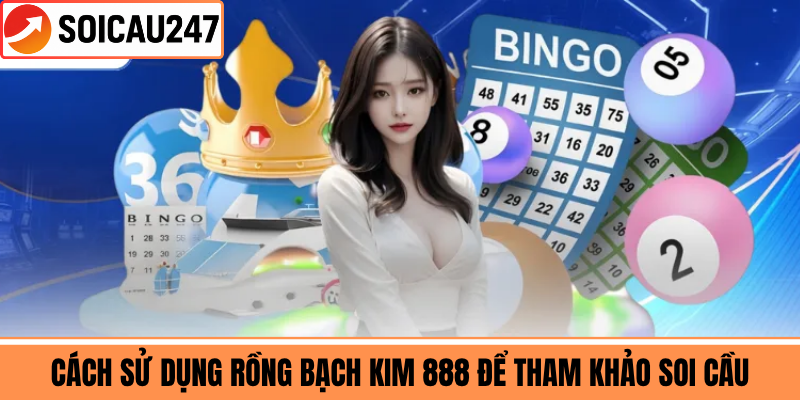 Cách Sử Dụng Rồng Bạch Kim 888 Để Tham Khảo Soi Cầu