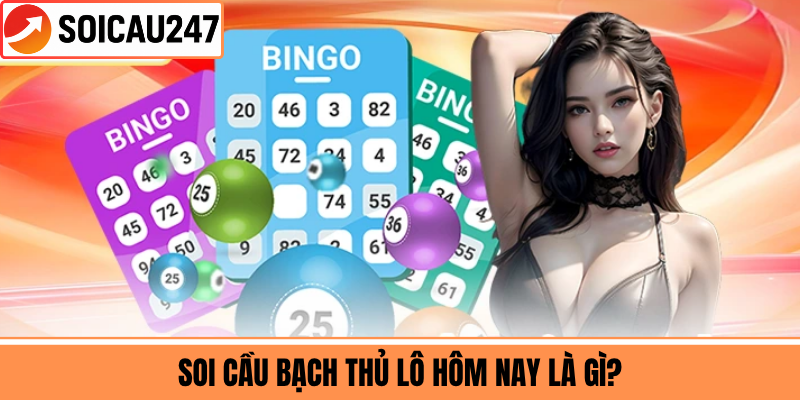 Soi Cầu Bạch Thủ Lô Hôm Nay Là Gì?
