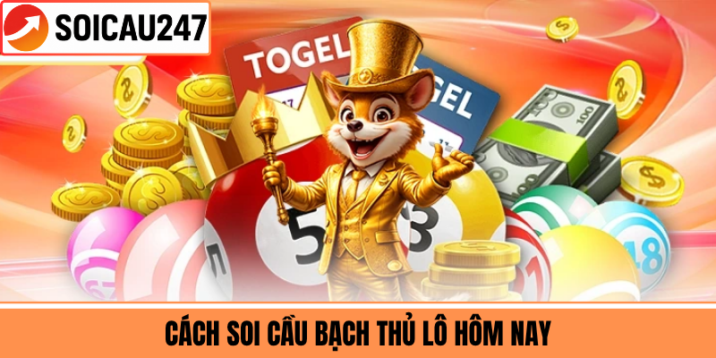 Cách Soi Cầu Bạch Thủ Lô Hôm Nay
