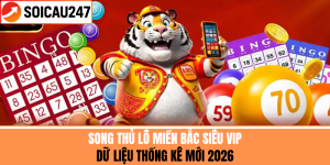 Song Thủ Lô Miền Bắc Siêu VIP - Dữ Liệu Thống Kê Mới 2026